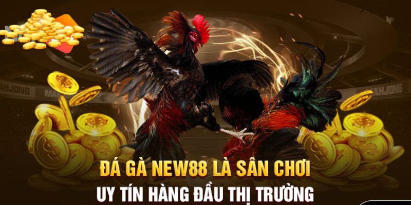 Những hình thức cá cược phổ biến nhất tại đá gà new88