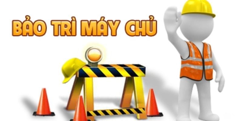 Bảo trì hệ thống để mang đến cho người dùng trải nghiệm tốt nhất